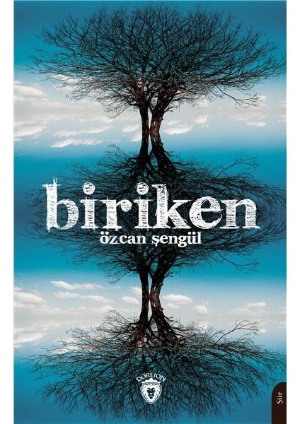 Biriken - Özcan Şengül