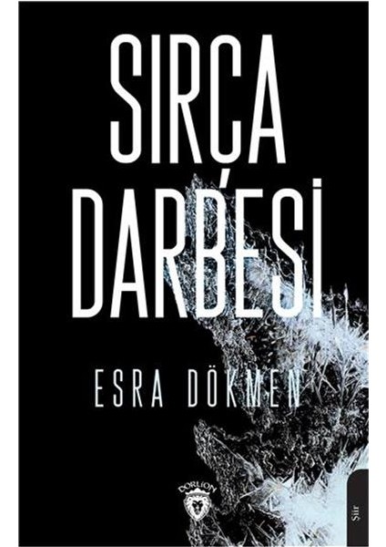Sırça Darbesi - Esra Dökmen