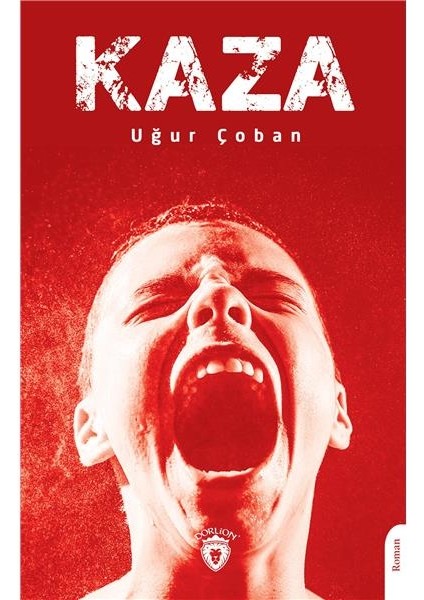 Kaza - Uğur Çoban