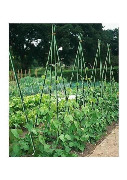 Pwc 10'lu Bitki Destek Çubuğu 20 mm 270 cm modelleri