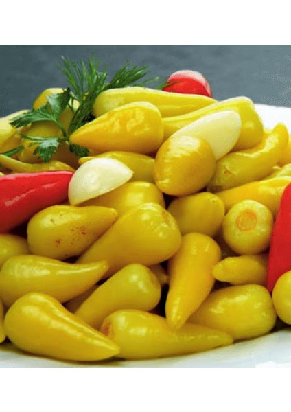 Murat Tohum Biberiye Biber Tohumu 25 Adet Tohum fırsatları