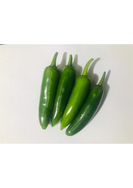 Murat Tohum Jalapeno Biber Tohumu 10 Adet Tohum fiyatları