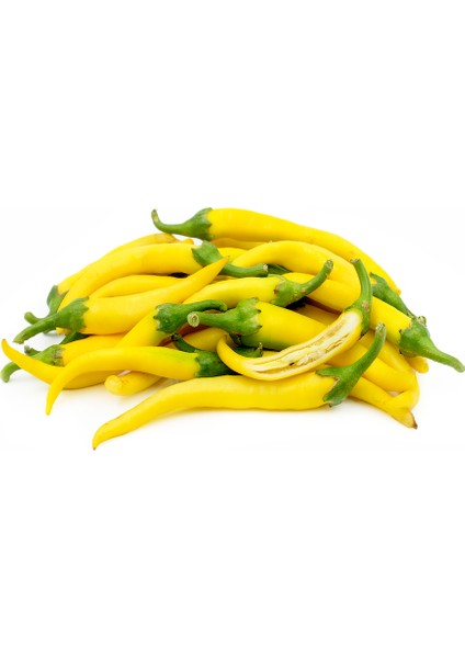 Murat Tohum Golden Acı Cayenne Biber Tohumu 20 Adet Tohum fiyatları