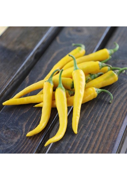 Murat Tohum Golden Acı Cayenne Biber Tohumu 20 Adet Tohum modelleri