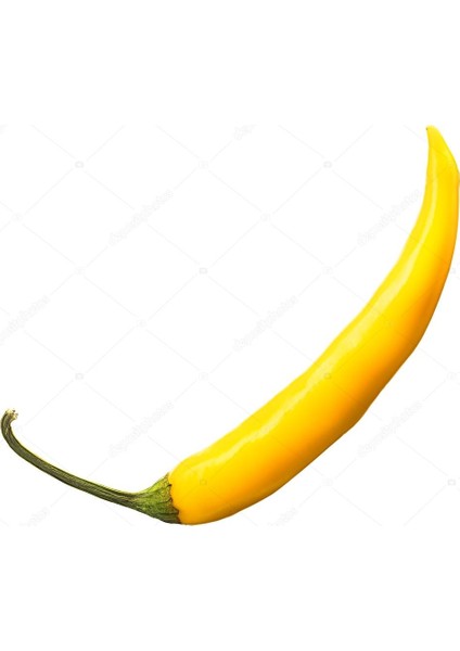 Murat Tohum Golden Acı Cayenne Biber Tohumu 20 Adet Tohum indirimleri