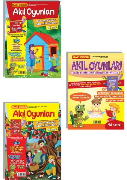 Akıl Oyunları Set 1