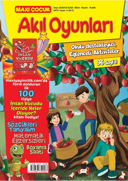 Akıl Oyunları Set 1 modelleri