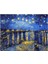 Womb Hobby Van Gogh Ren Nehrinde Yıldızlı Geceler Sayılarla Boyama Seti 40 x 50 cm Tuvale Gerili 1