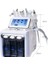 Ever Plus Hydrafacial H2O2 6 Fonksiyonlu Cilt Bakım Cihazı 2