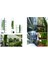 100 Landscape Design 2 Cilt 4
