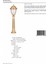 BSU-68053-BSA-B Sarı Boyalı Dış Mekan Aydınlatma E27 Aluminyum Döküm Dip Polikarbon Cam 25cm 4