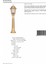 BSU-68054-BSA-BOP Sarı Boyalı Dış Mekan Aydınlatma E27 Aluminyum Döküm Dip Polikarbon Cam 27cm 4