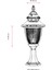 BSU-68055-BSY-K Kahverengi/Siyah Boyalı Dış Mekan Aydınlatma E27 Aluminyum Polikarbon Cam 25cm 3
