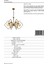 AV-60103-6E Eskitme Kaplama Modern Avize E14 Metal Cam 55cm 4