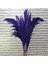 Mor Pampas 10 Adet 100 cm 1