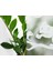 334-0031 Sincap Desenli Statik Cam Folyo (45CM x 1mt) 2