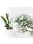 334-0031 Sincap Desenli Statik Cam Folyo (45CM x 1mt) 4