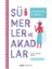Sümerler Ve Akadlar - Gebhard J. Selz 1