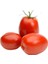 Yerli Domates Tohumu Sivri 5 gr (Ort 2000 Ad Tohum) 1