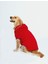 Kapşonlu Baskılı Köpek Sweatshirtü 1