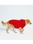 Kapşonlu Baskılı Köpek Sweatshirtü 2