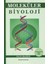 Moleküler Biyoloji 1