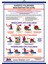 Kardiyopulmoner Resusitasyon Posteri 1