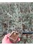 Bonsai Mavi Servi Seti (Fidan+Bonsai Saksı+Toprak +Bitki Besini) 3