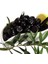 Gemlik Trilye Zeytin Fidanı Saksı Da 3/4 Yaş Aşılı Sertifikalı 1.kalite 160/180 cm 1