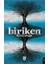 Biriken - Özcan Şengül 1