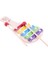 Wooden Toys Ahşap Eğitici Balık Tutma +5 Notalı Selefon + Denge oyunu + Geometrik Şekiller 4'lü Set 2