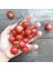 Murat Tohuh Cherry Tatlı Kiraz Biber Tohumu 15 Adet Tohumu 2