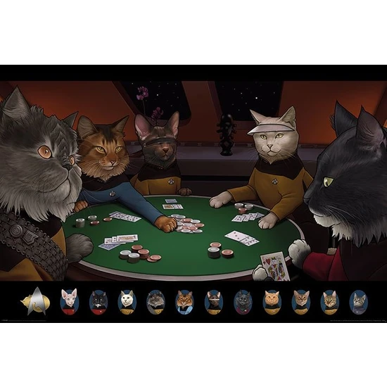 Maxi Poster Star Trek Cats (Poker)