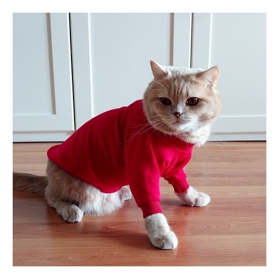 Stylie Kırmızı Kedi Köpek Giysisi S5xl Fiyatı Taksit Seçenekleri