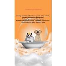 Petelogy Puppy Pudra Parfümlü Pet Şampuanı 250 ml