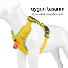 Tian Cheng Yeni Evcil Hayvan Koşum Köpek Koşum Yansıtıcı Işe Gidiş-Geliş Köpek Tasma Köpek Tasması (Yurt Dışından)