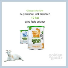 Golden Goat Keçi Devam Sütü 2 Numara 400 gr 12'li Paket