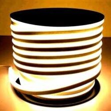 Clan 50 Metre Tak Çalıştır 220V Günışığı Neon LED