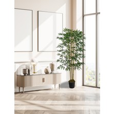 Tunira Home Bambu (Feshka) Yapay Ağaç 3 Gövde 170CM, Saksılı