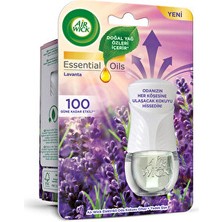 Air (  5  Adet  )  Air Wick Elektrikli Oda Kokusu Lavanta Kit