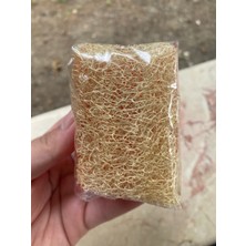 Vmunique Sabun Kabak Lifli Gül Sabun