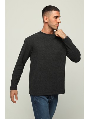 Owut Collection Bisiklet Yaka Regular Fit Şardonlu Basic Erkek Sweatshirt