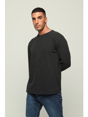 Owut Collection Bisiklet Yaka Regular Fit Şardonlu Basic Erkek Sweatshirt