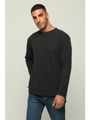 Owut Collection Bisiklet Yaka Regular Fit Şardonlu Basic Erkek Sweatshirt