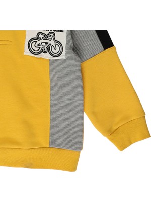 Panço Erkek Bebek Renkli Sweatshirt