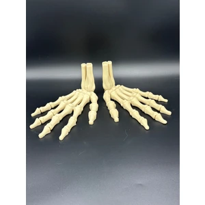 AnatomiIskelet Model (El)