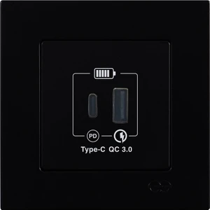 Günsan Eqona Metalik Siyah 2 Çıkışlı USB Şarj Prizi Type C + Type A 20W