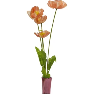 T. Concept Gelincik Çiçeği Somon