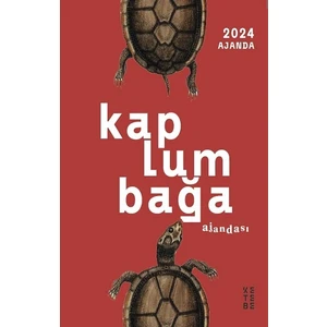 Ketebe Yayınları Kaplumbağa Ajandası 2024 - Kolektif