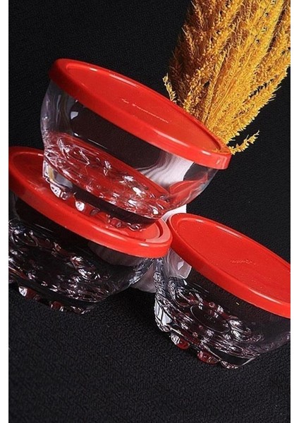 53523 Cam 6lı Kapaklı Kase Kahvaltılık Saklama Kabı Takımı fiyatları